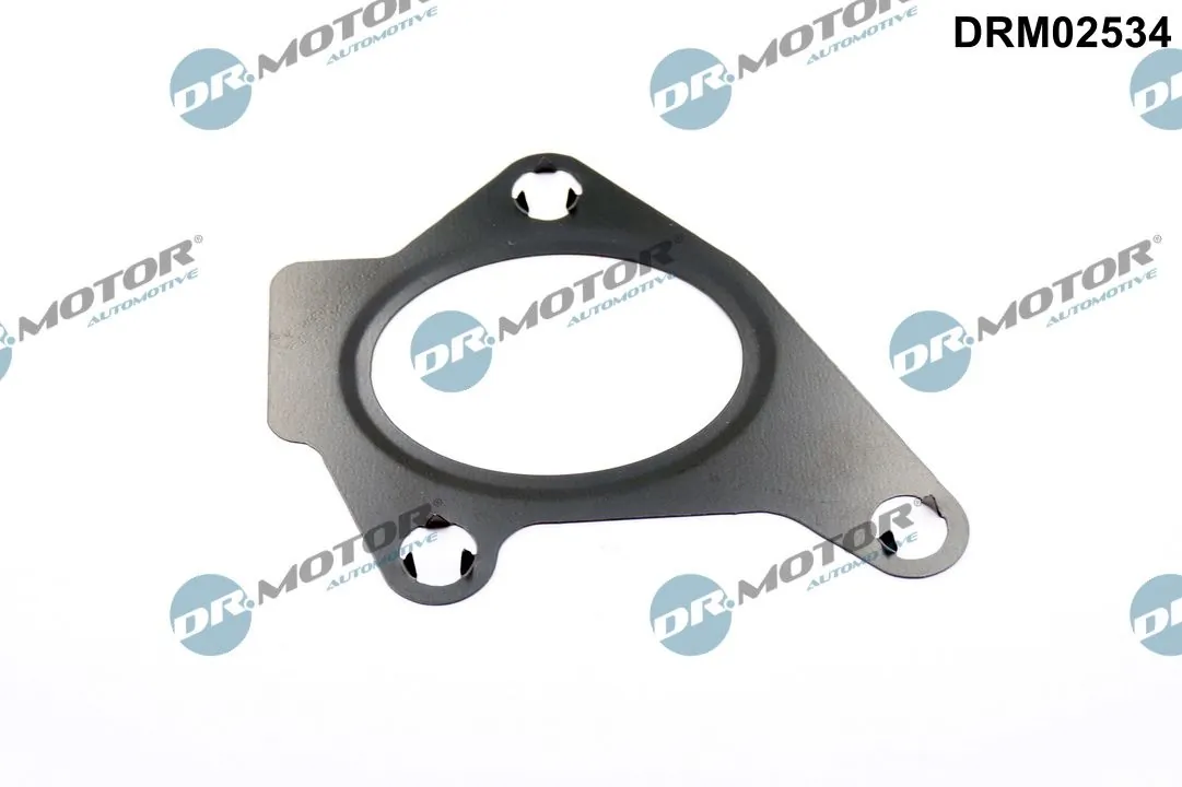 Gasket, intake manifold